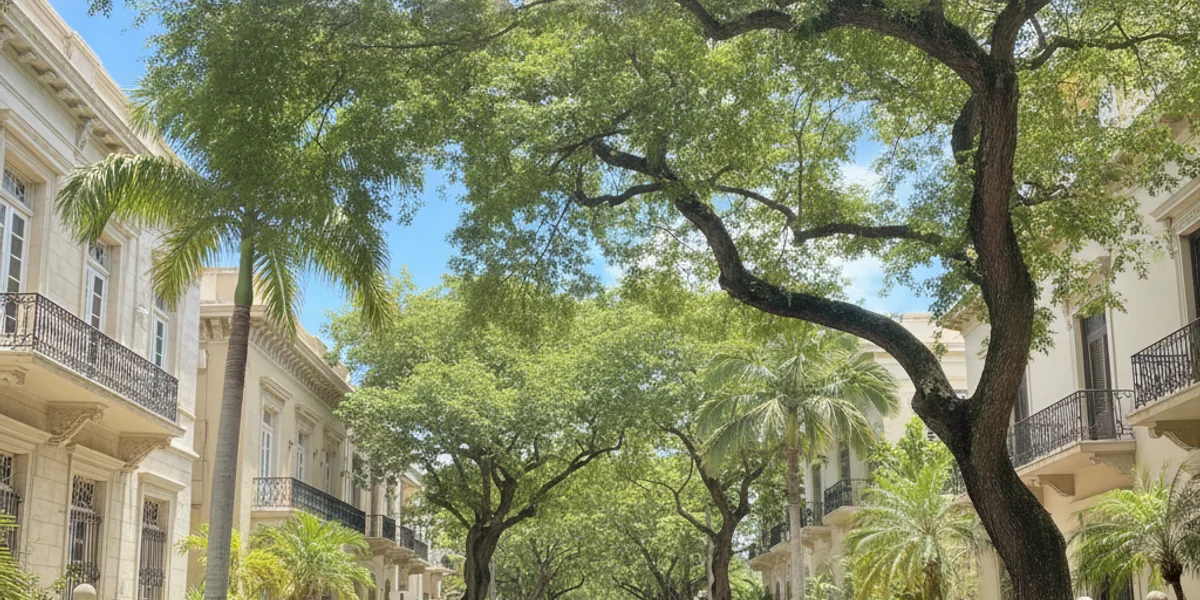 Car rental in Miramar, San Juan, Puerto Rico — Car Rental San Juan